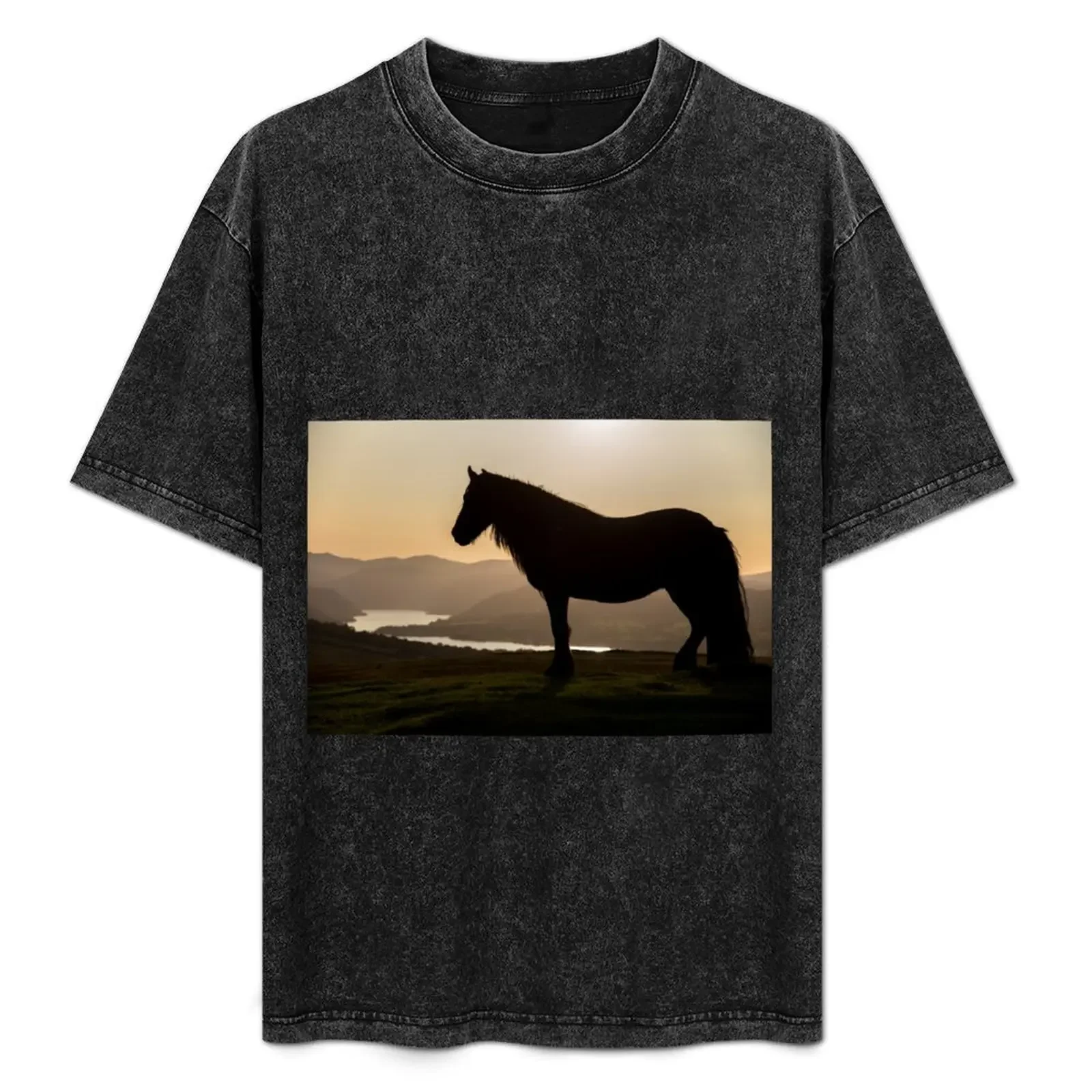 Lake District - Fell Pony on Askham Fell T-Shirt graphics new edition mens t shirts casual stylish