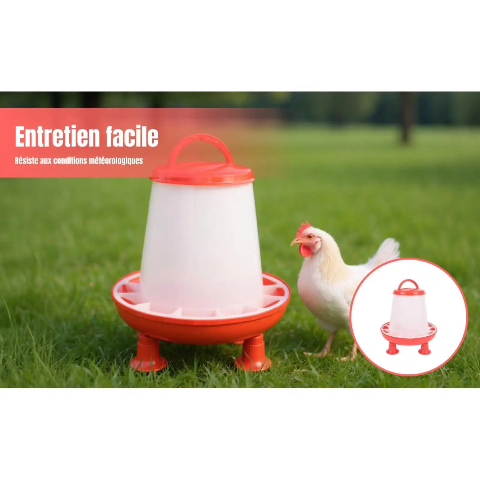 Comedero automático duradero para gallinas, pollos y palomas - imagen 3