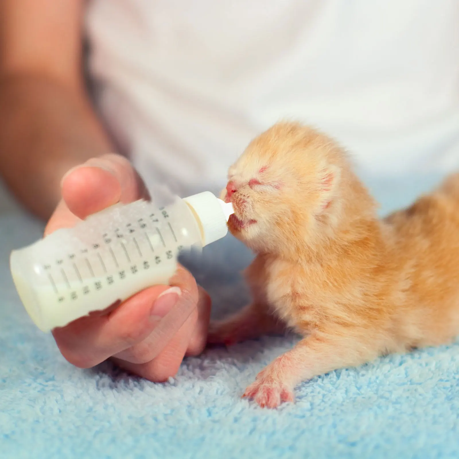 

10Pcs Pet Feeding Nipples Silicone Kitten Bottle Pacifiers Small Size for Puppies Cats Nursing Bottle Accessories