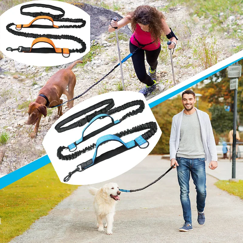 Double elastic reflective running leash portable retractable dog leash dog chain leash pet supplies wholesale