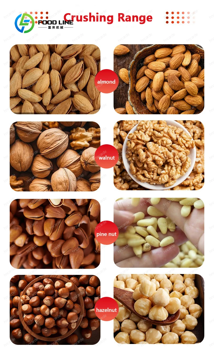 Automatic cashew sheller, peeling machine, cashew shelling and peeling machine