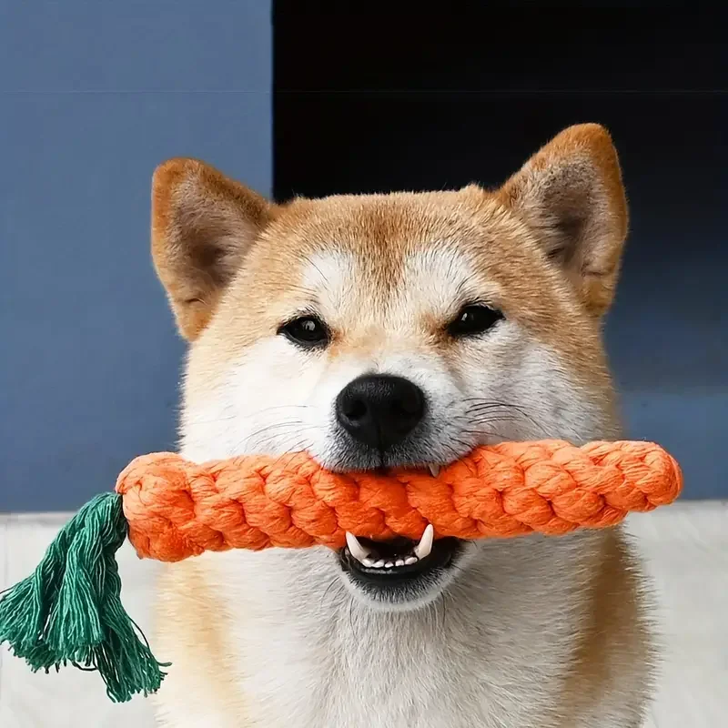 1PC Dog Toy Carrot Knot Rope Ball Cotton Rope Dumbbell Puppy Cleaning Teeth Chew Toy Durable Braided Bite Resistant Pet Supplies