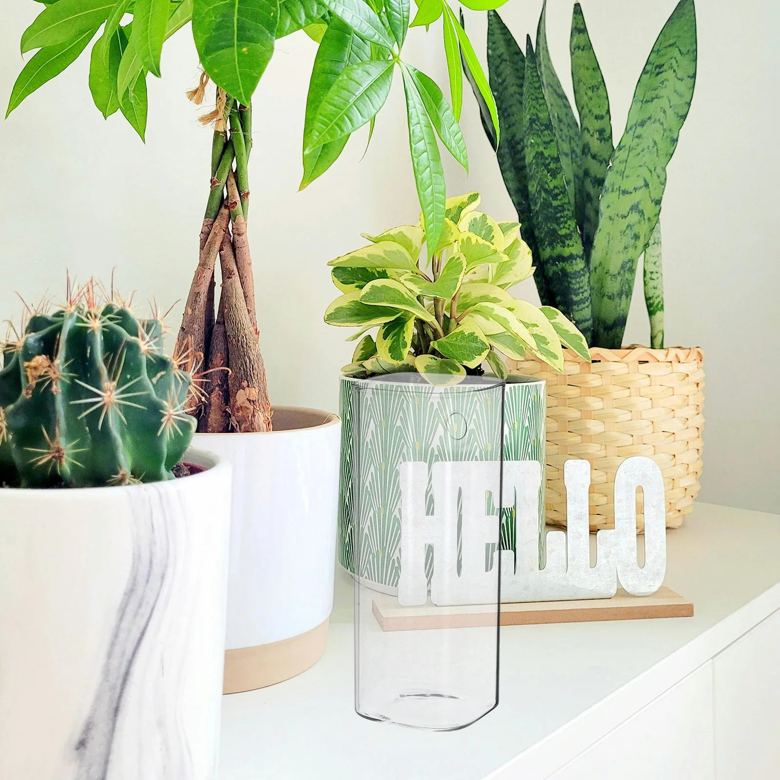 

Clear Wall Vase Hanging Planter for Plant Cuttings Modern Minimalist Design Home Decoration Wall Hanging Vase Flower Planter