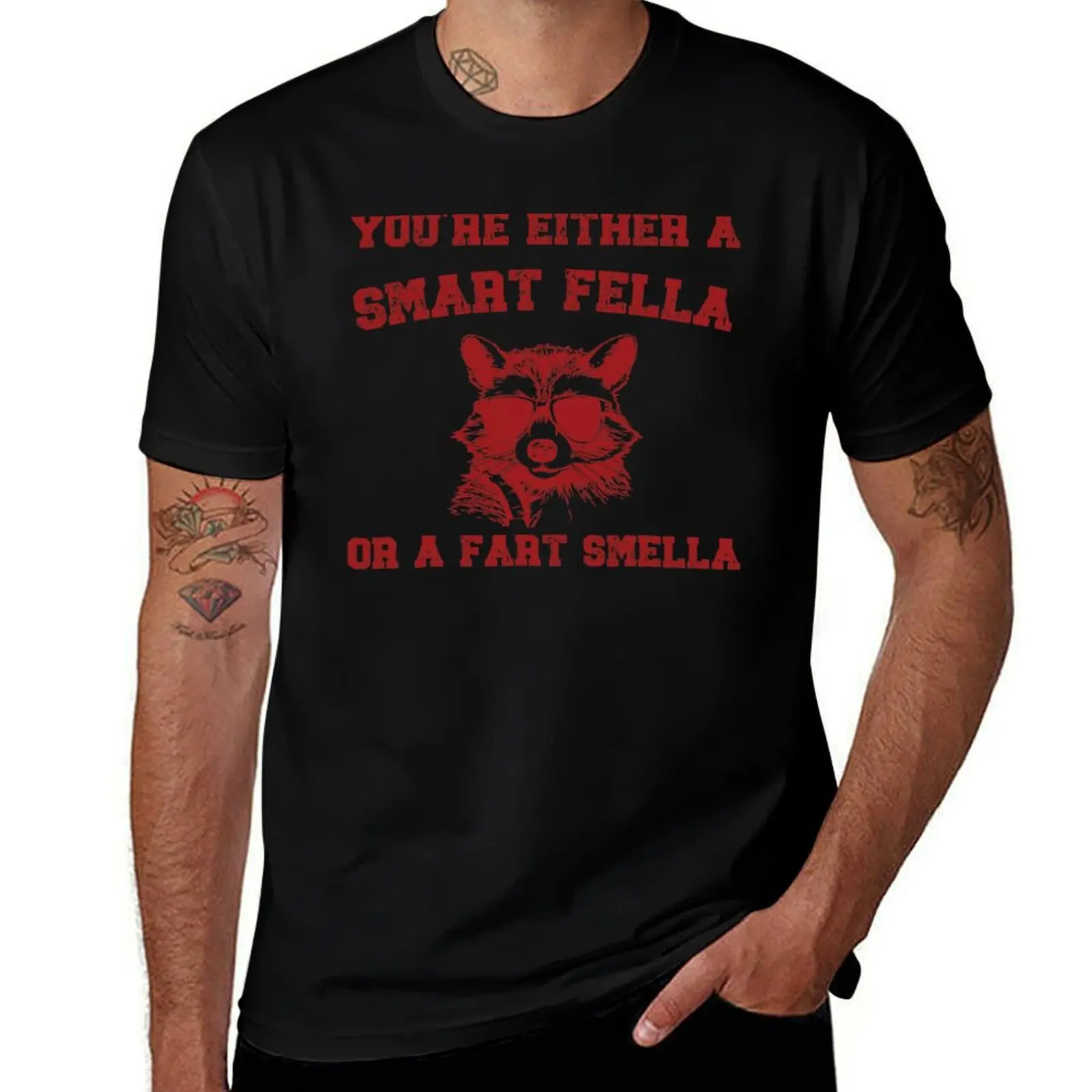 Are You A Smart Fella Or Fart Smella Funny Raccoon Meme T-Shirt Holiday All Match T-Shirt
