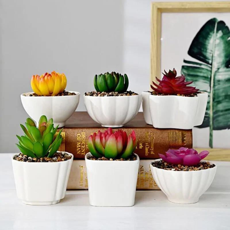 

6 Pcs/Set White Porcelain Succulent Plant Pot All Kinds Shape Bonsai Vase Planter Container Desktop Ornaments Home Garden Decor