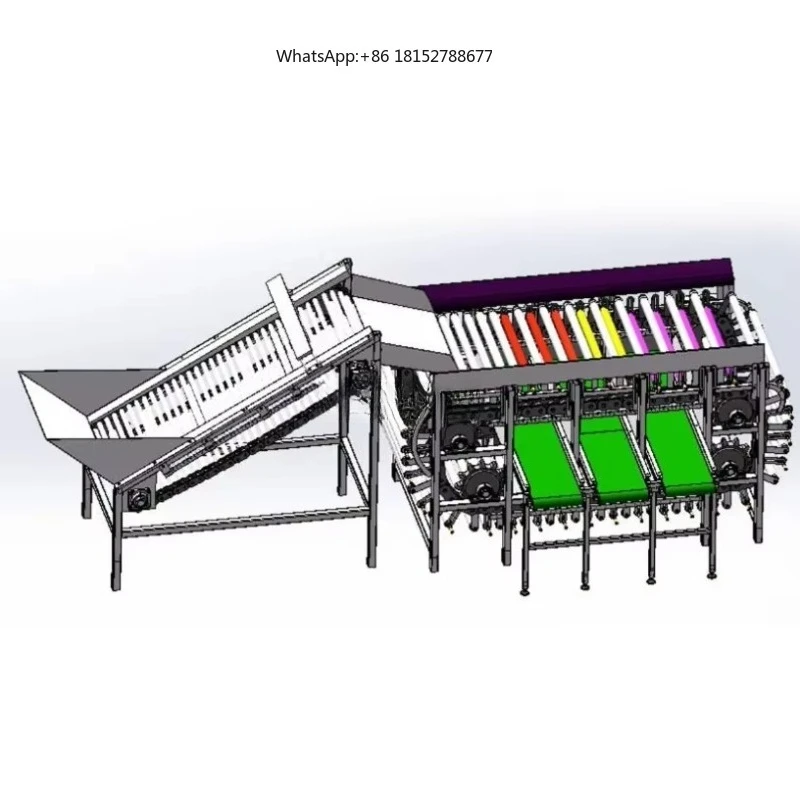 Factory Supply Fruit & Vegetable Grading Machine Fruit Washing Drying and Grading Sorting Machine
