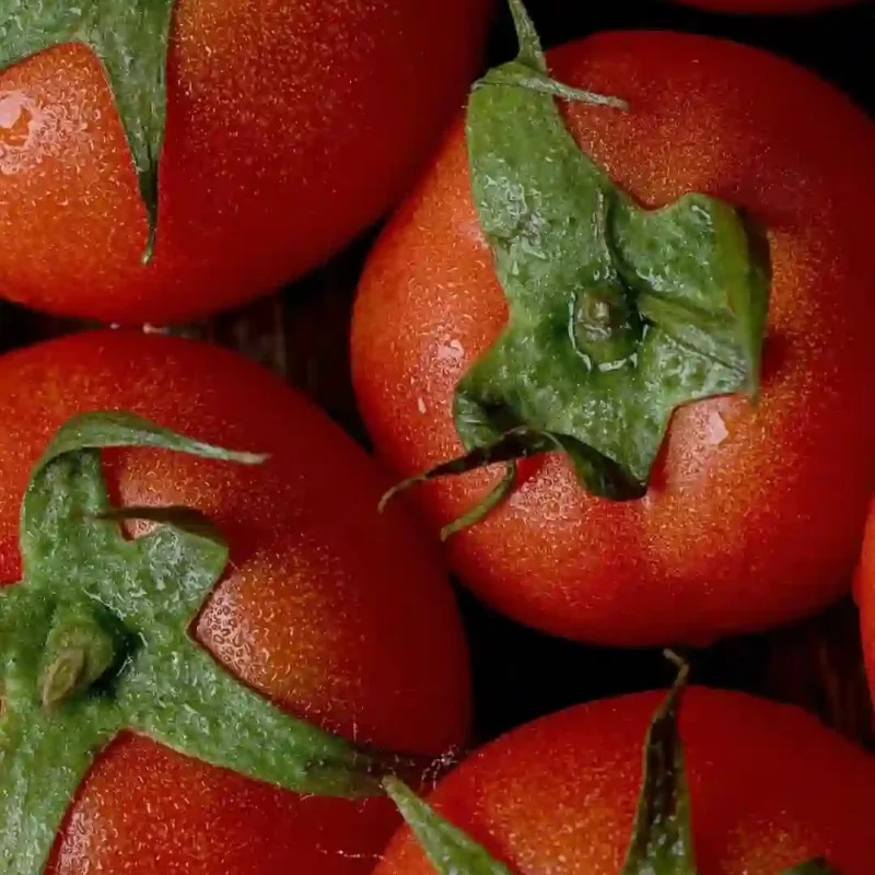 

Front and Rear Cup C Seat Weighted for Hyper GO MJX H8H YK4102 4103 4 6 4082 OP Metal Upgrade Parts Rc Model Crawler Car Truck