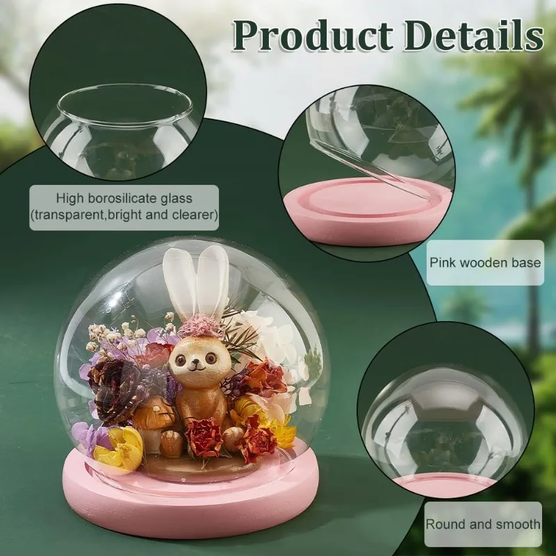 1 Set Glass Dome Glass Display Showcase Decorative Display Dome Miniature Case Snowglobe for Fairy Lights Plants Flower