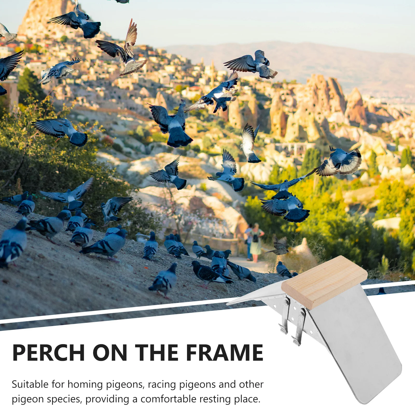 

Stainless Steel Pigeon Stand Polished Smooth Roosting Holder Parrot Bird Cage Accessory Pigeon Perch Bird Perch