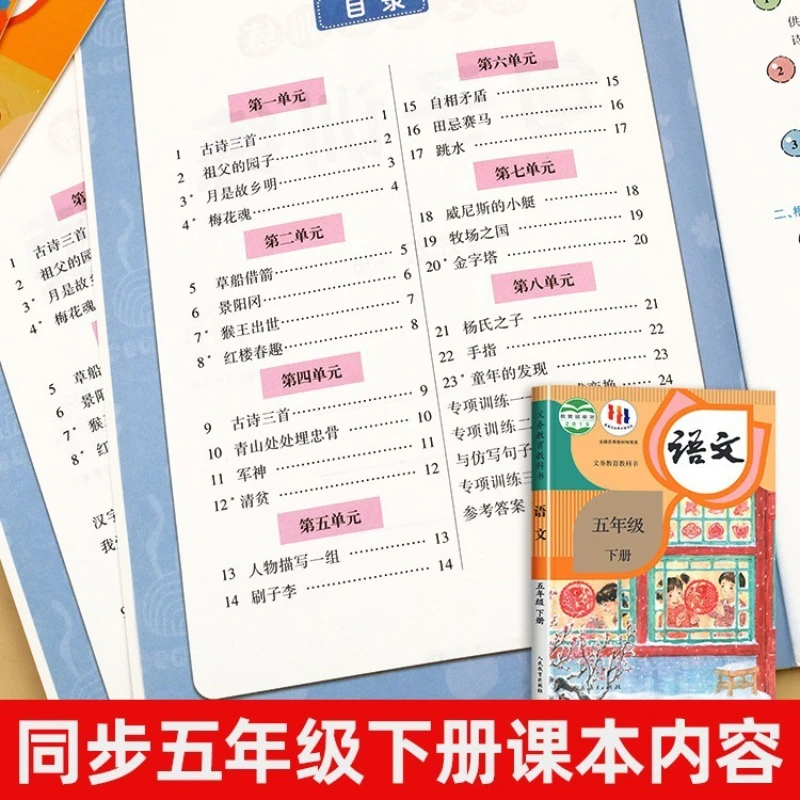 Special Training for Chinese Reading Comprehension in Grade 5 Volume 2, People's Education Press, Synchronized Practice Book