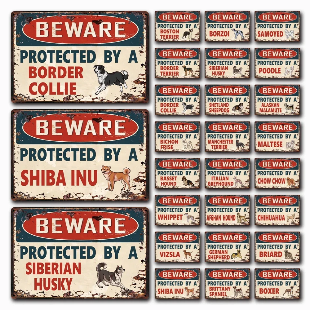 [ Kelly66 ] Dog Beware Protected By A Husky Borzoi Border Collie Metal Sign Home Decor Bar Wall Art Painting 20*30 CM Size Dy155