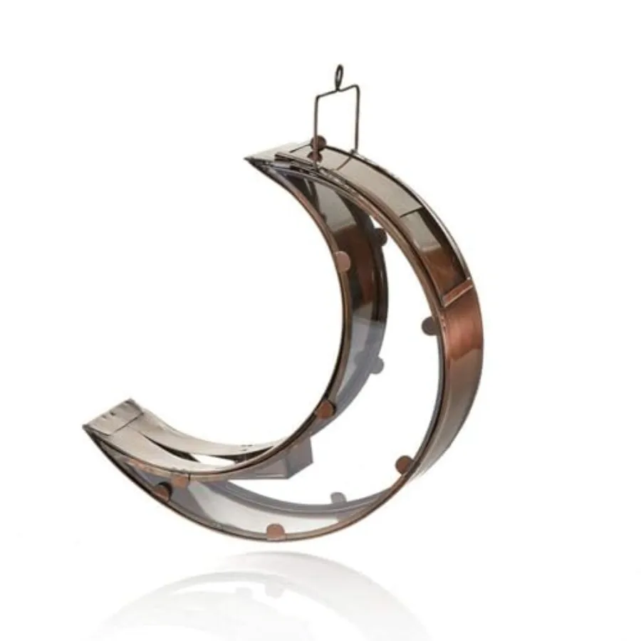 Moon Bird Feeder, 2026 year view 3