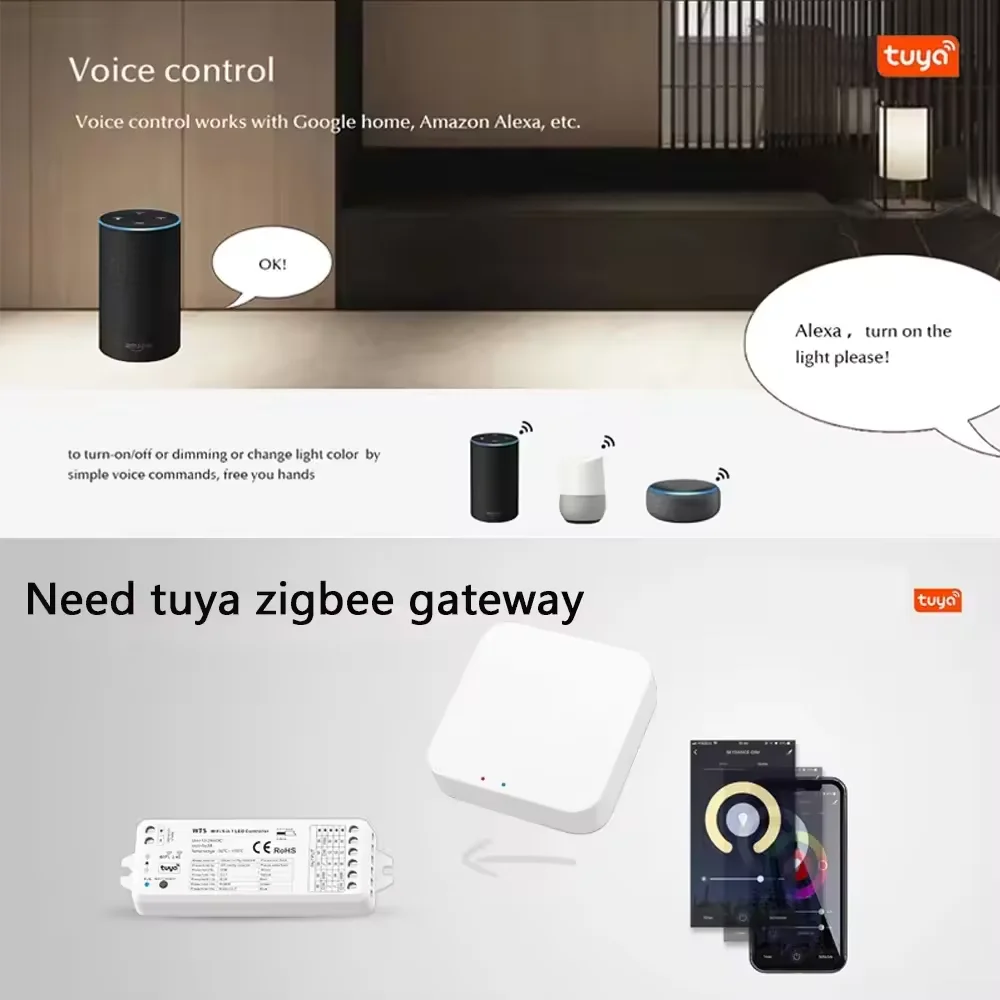 زيجبي & RF 2CH LED تحكم ذكي باهتة مباراة مع 10-مفتاح CCT اللاسلكية عن بعد تويا APP باهتة لشريط CCT LED تيار مستمر 12 فولت 24 فولت