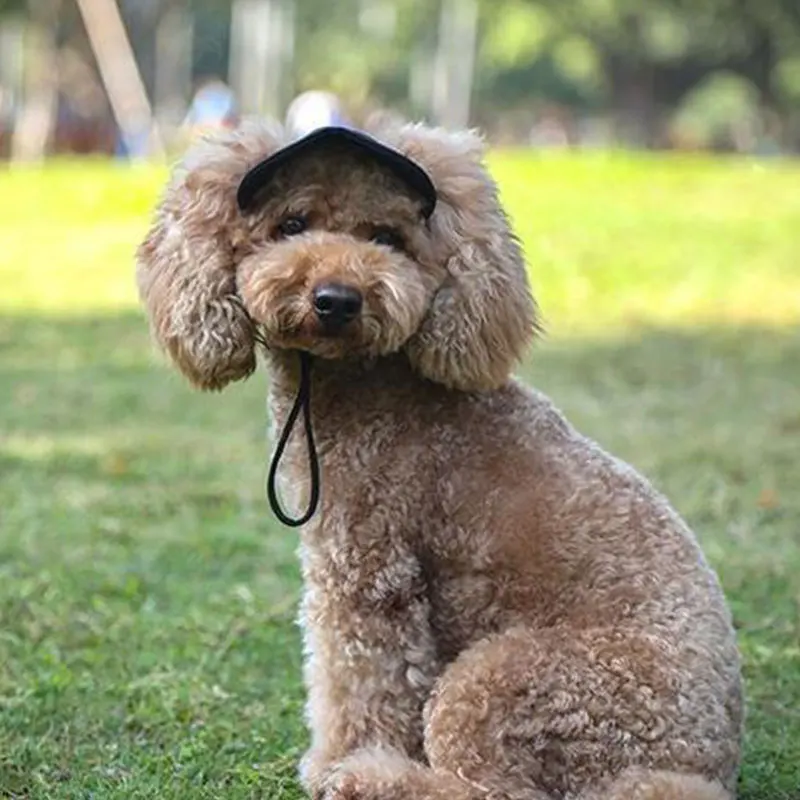 Dog Baseball Hat Parent-Child Cap Outdoor Sun-Proof Wear-Resistant Dog Cat Sun Hats Universal Cute Peaked Cap With Ear Hole