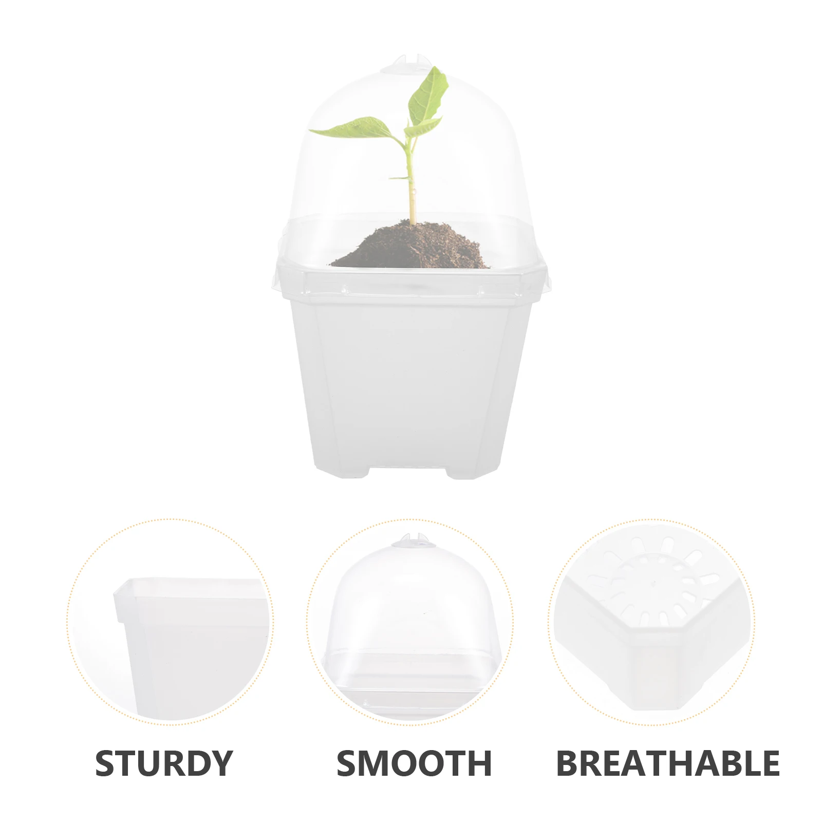 

5pcs Seedling Flowerpots Durable Plastic Transparent Cover High Budding Rate Sowing Tools Garden Sprouting Wheat Grass