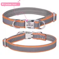 Orange collar