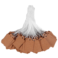 500Pcs/Set Blank Price Label Tags With String Rectangular Kraft Paper Label Jewelry Price Display Cards Promotion Label for Sale