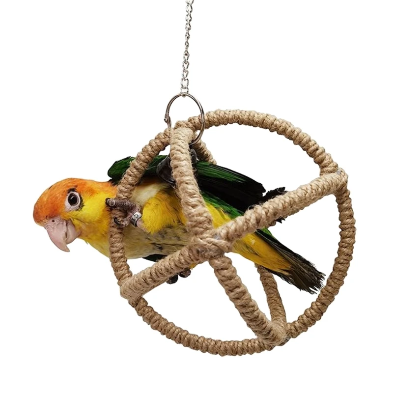 Bird Parakeets Toy Swing Hanging Hollow out Ball Toy Molar Hanging Toy Colorful dropshipping