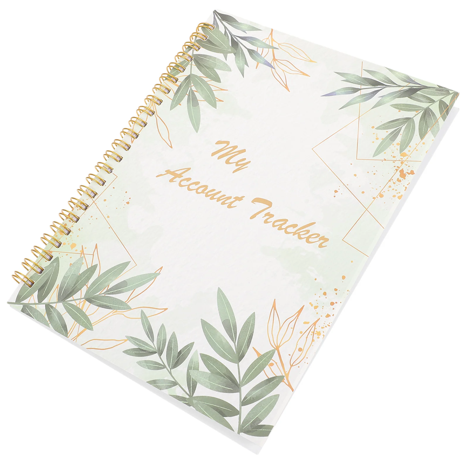 Chèque enregistreuse livre Balance Ledger organisateur financier Portable comptabilité cahier dépenses Tracker outil de budgétisation