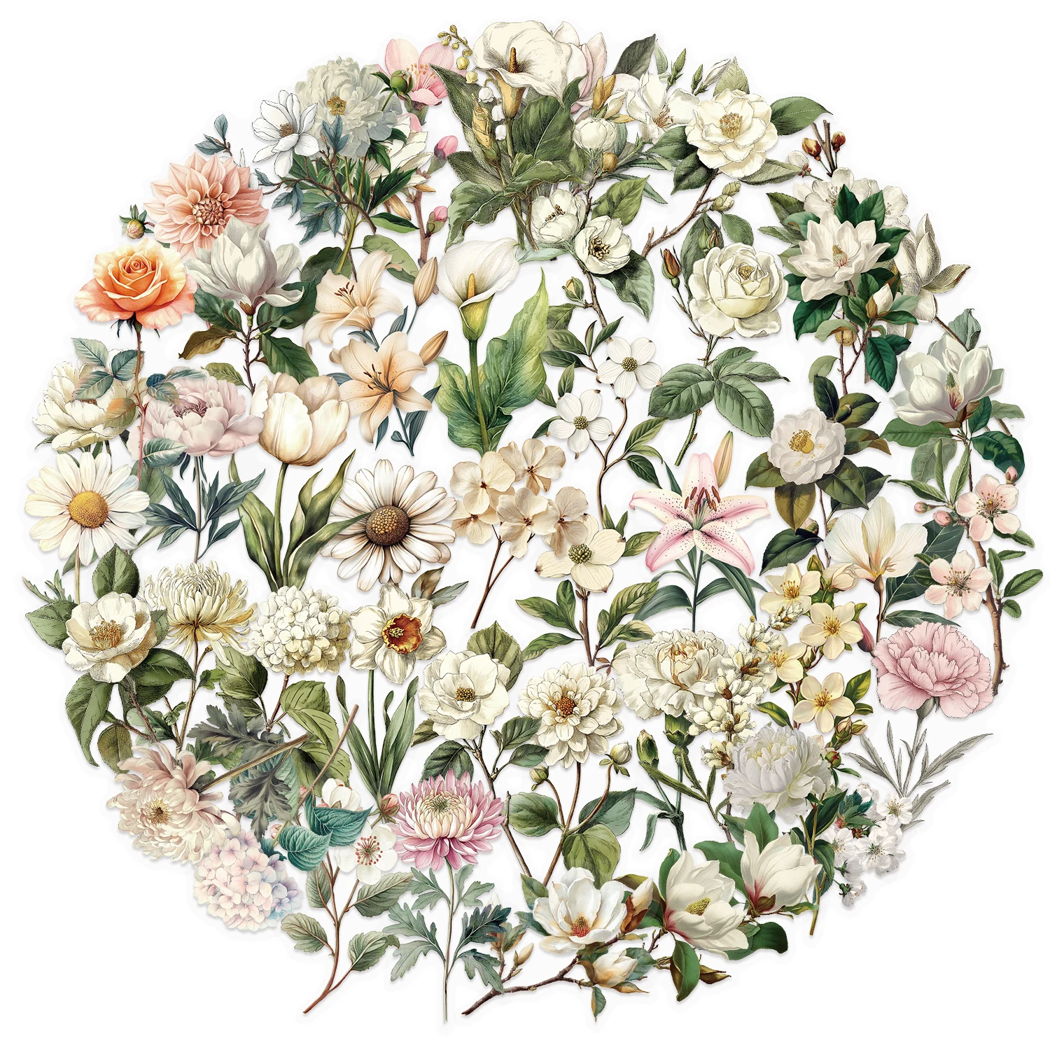 

50pcs Retro long-stem flower stickers, exquisite and cool graffiti stickers, laptop cartoon stickers, classic gift decorations