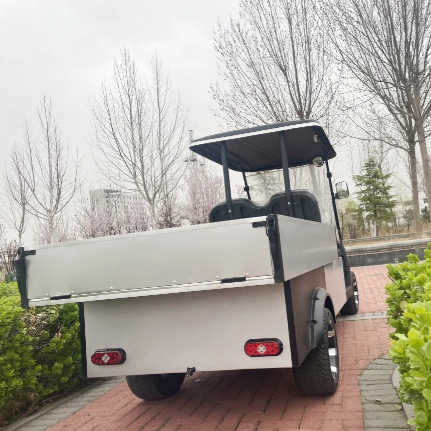 

Wholesale Custom Design Golf Cart 2 Seater Lithium Utility Vehicles With Rear Cargo Box 48V/60V/72V Off Road Electric Bicycle