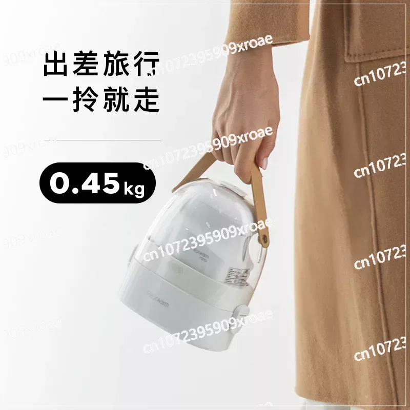 800W Portable Steam Small Iron Garment Steamer Home Travel Convenient Garment Steamer