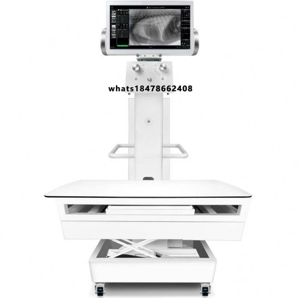 Máquina de Rayos X para Clínica Veterinaria Europea, Equipo Veterinario Digital de Radiografía para Mascotas, Venta