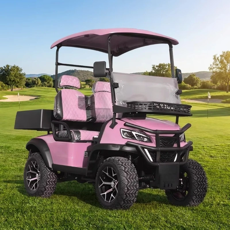 Mini Golf Cart 2 Seater Pink Small Golf Cart Equipped with 3.5KW AC Motor Suitable for Clubs, Golf Courses, Airports