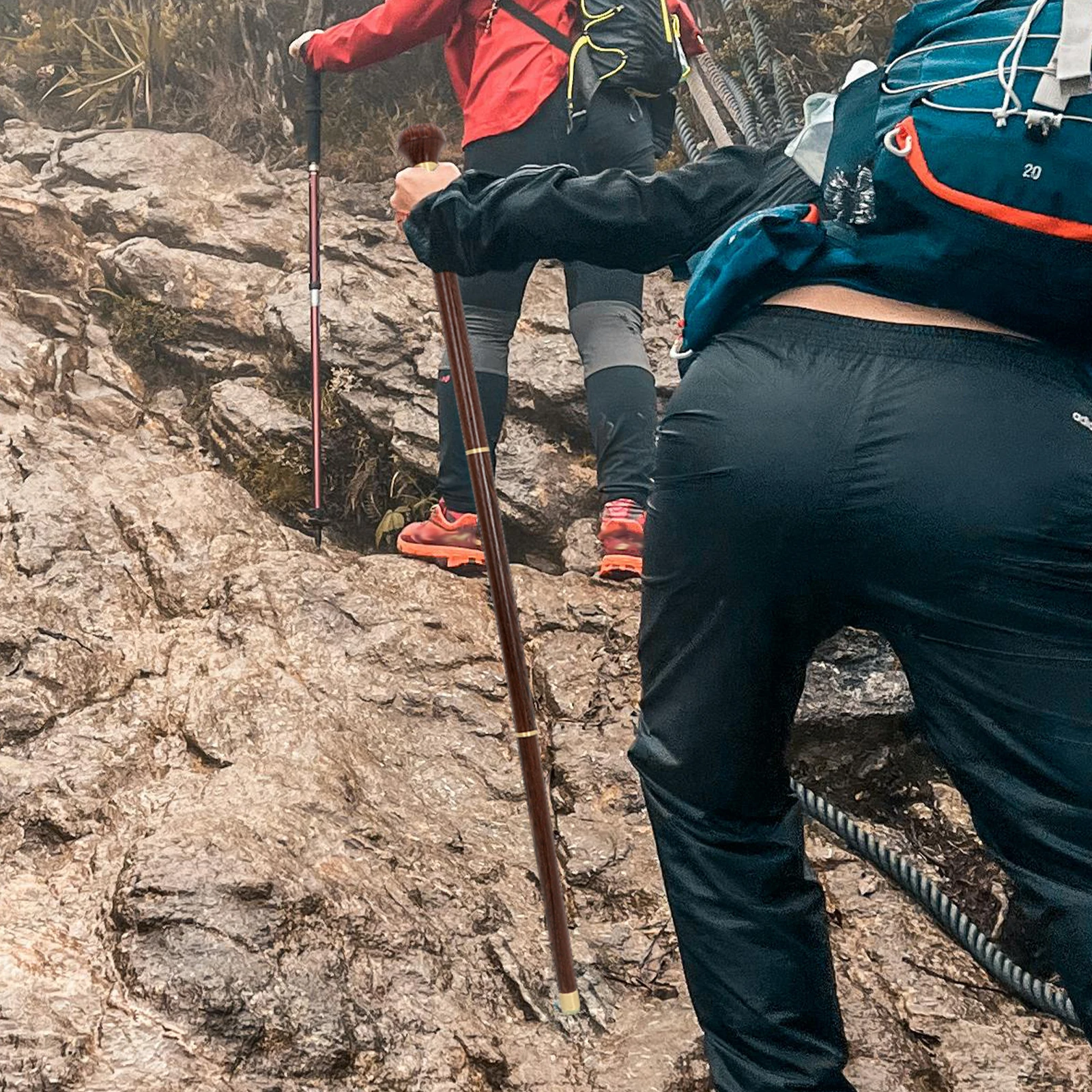 

Three-Section Detachable Wooden Walking Cane Anti-Slip Handle Hiking Walking Stick for Seniors Reliable Support