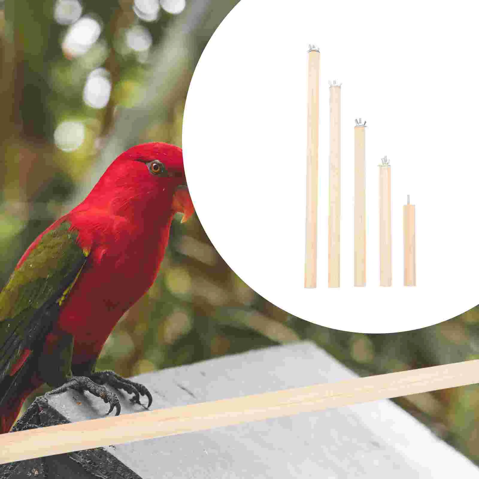 

5 Pcs Parrot Standing Pole Bird Accessories Parakeet Perch Perches Cage Small Solid Wood