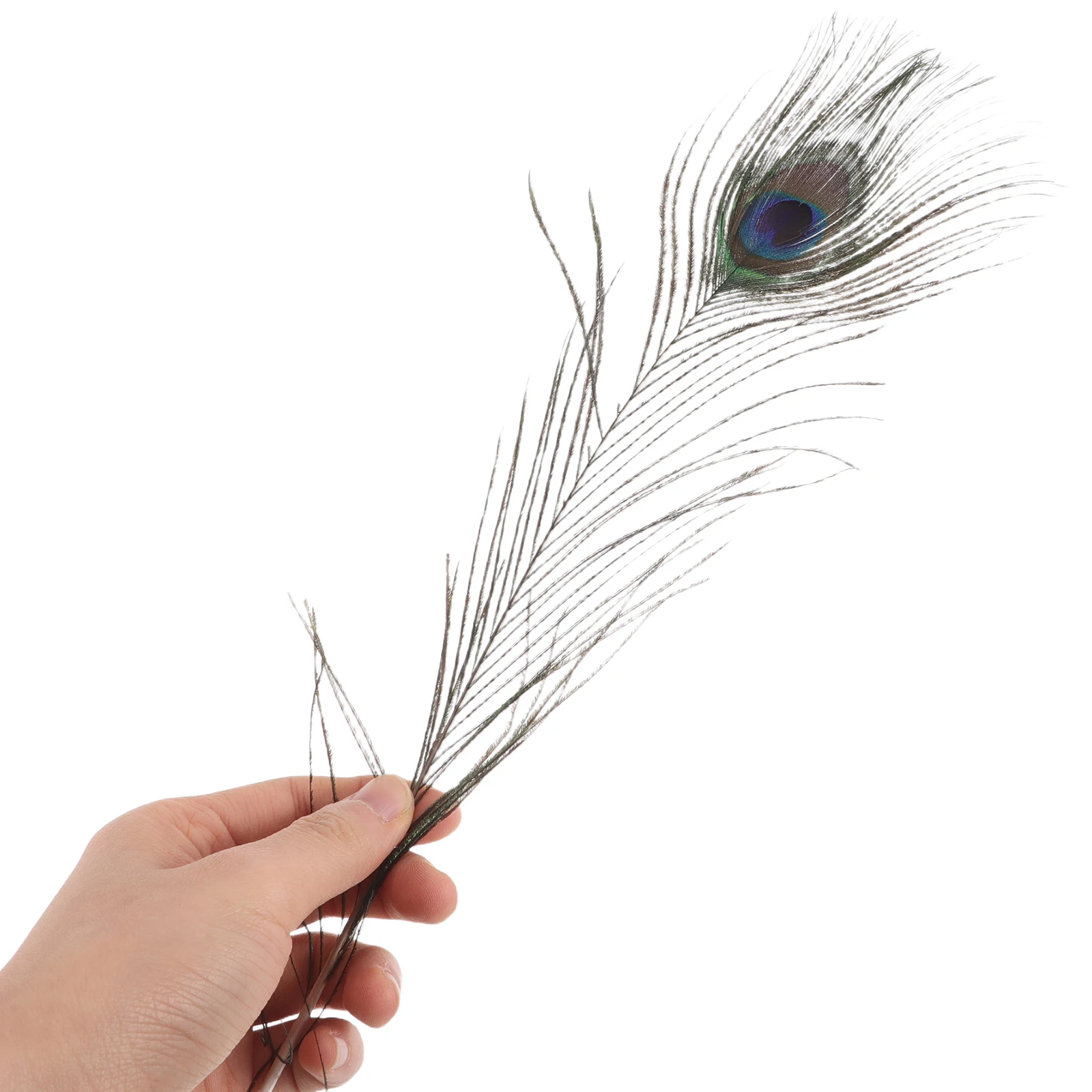 

6pcs Natural Jewelry Plume Set Handmade Turkey Pheasant Spotted Craft Props Lightweight Unique for Dream
