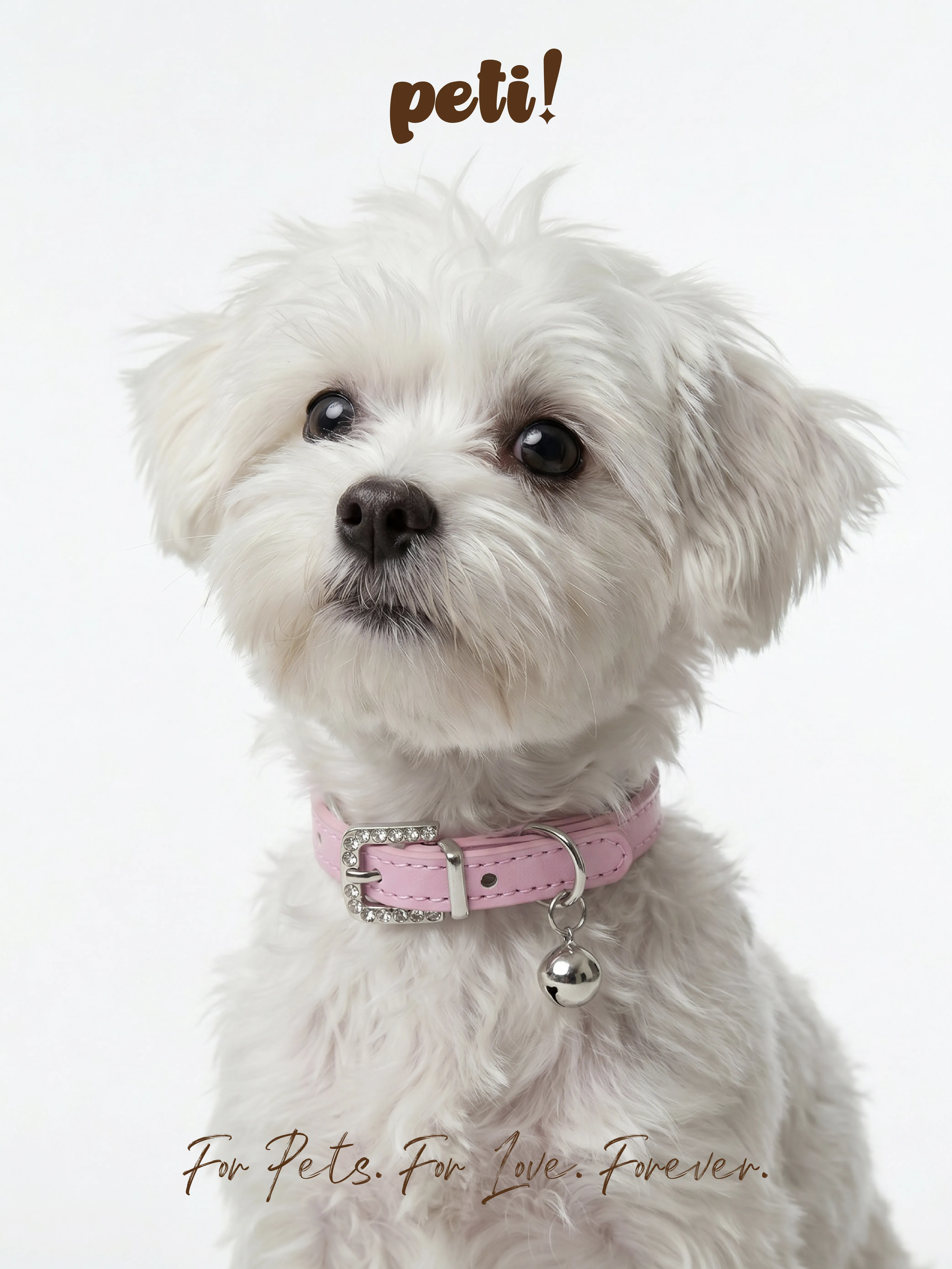 hanfu-style-rhinestone-buckle-pu-leather-pet-collar-with-bell-adjustable-for-small-medium-dogs-cats-puppy-kitten-multiple-colors