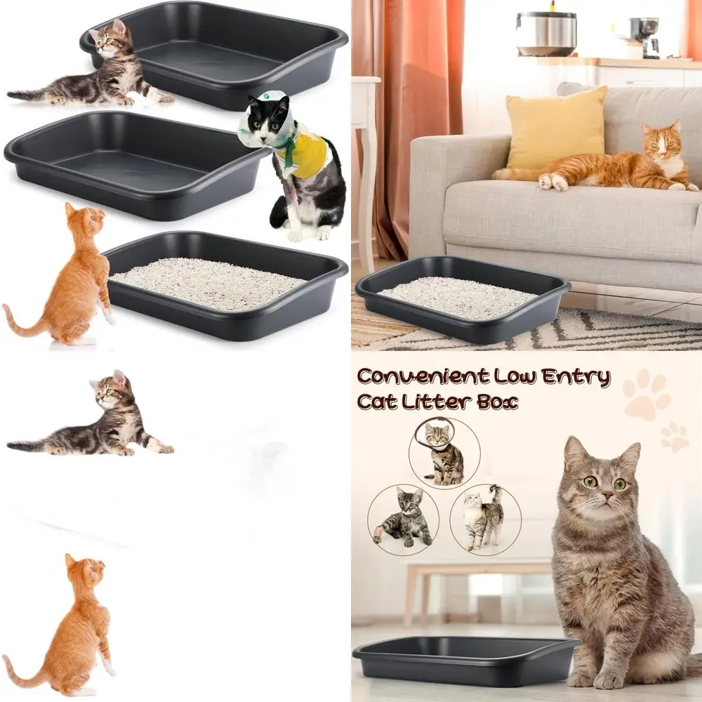 

Large Senior Cat Litter Box, Low Entry Design for Frail, Disabled, or Elderly Cats, Easy Clean, Dark Gray