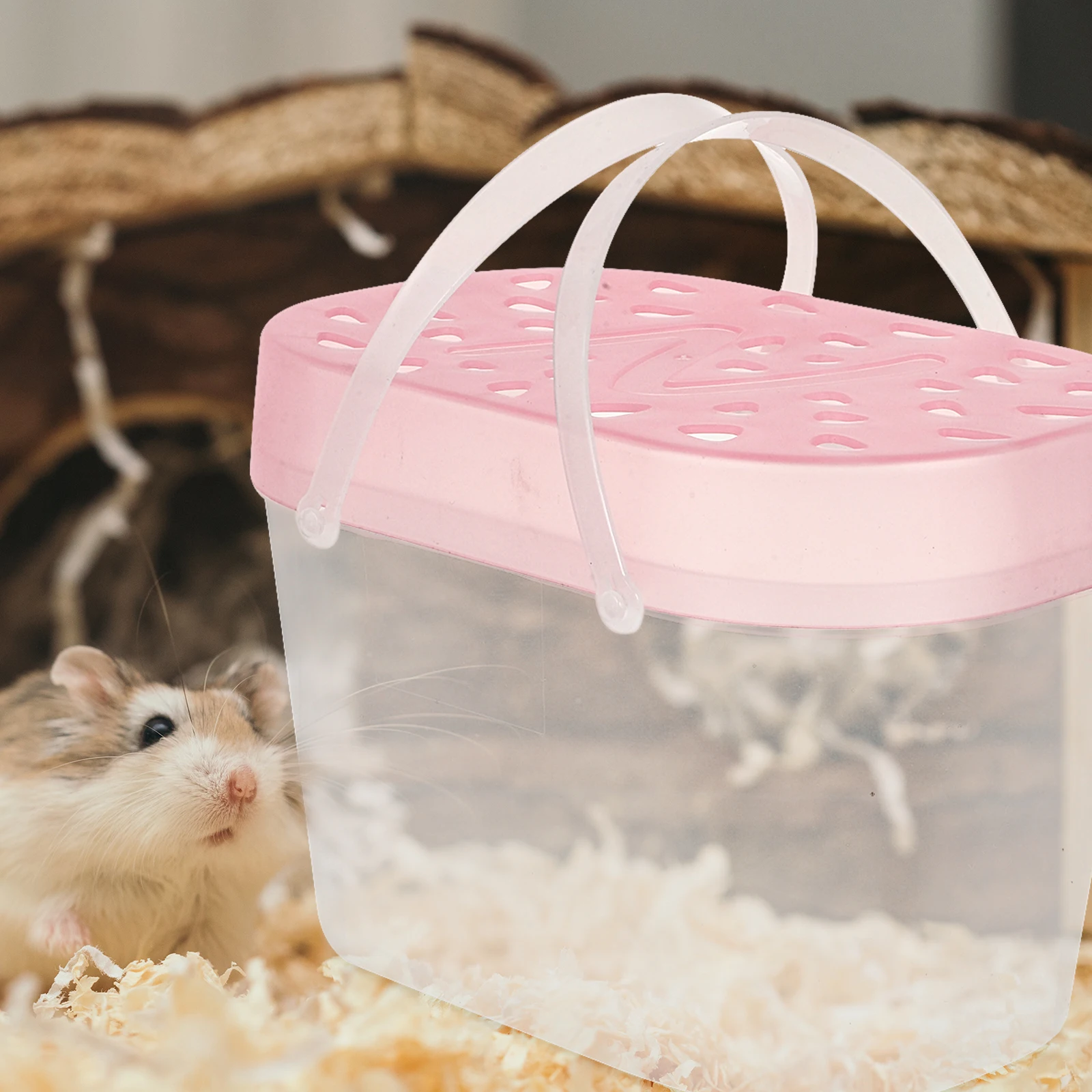 

2pcs Pet Cage Carrier Durable Travel Boxes Handheld Hamster Cases Plastic Reptile Cages Turtle Containers Outdoor