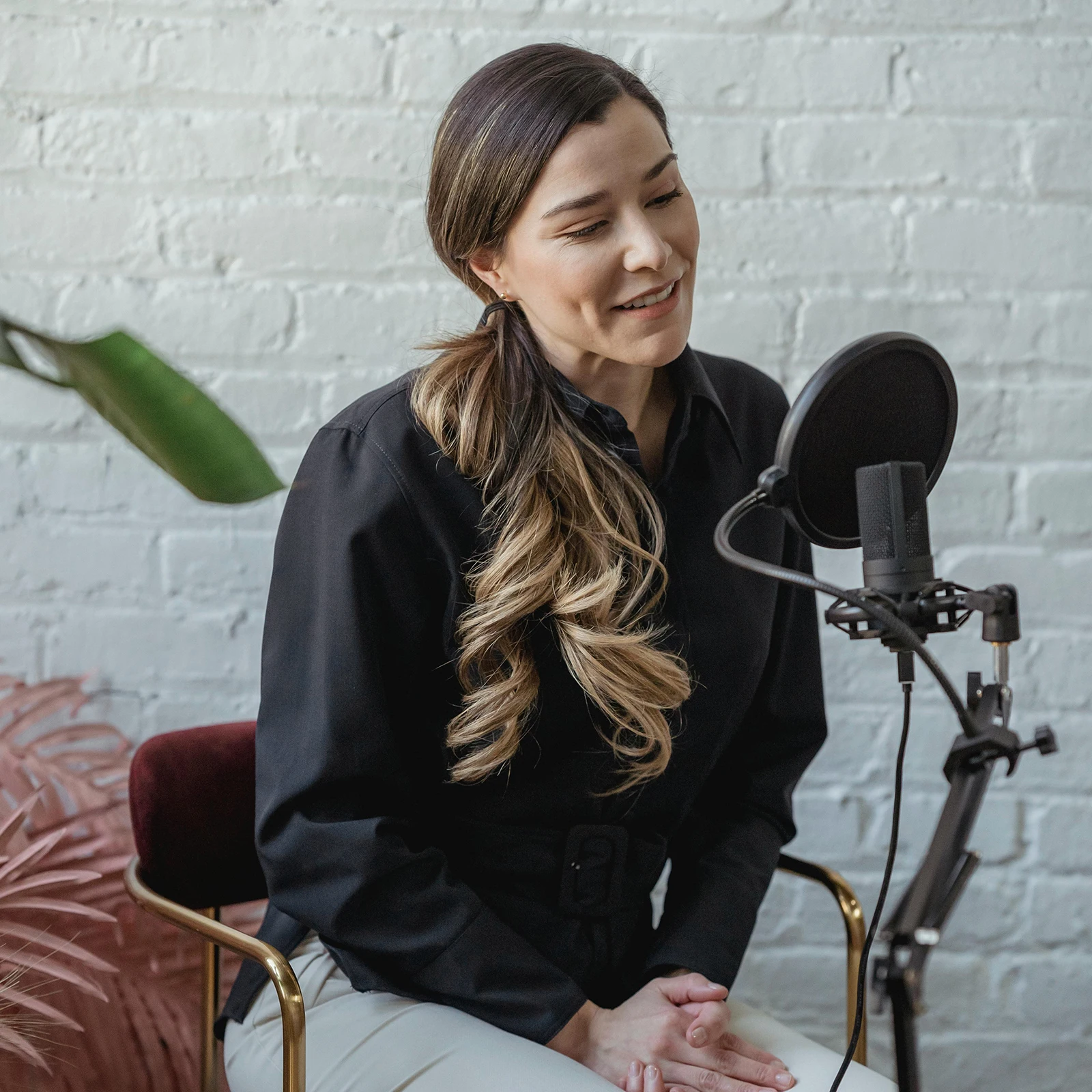 二層スタジオマイク,フレキシブルウィンドスクリーン,サウンドフィルター,マイクシールド,スピーカー録音アクセサリー