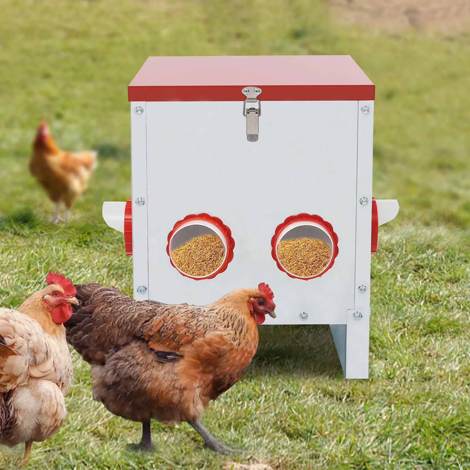 

Chicken Feeder Large Capacity Chicken Feeder 6-Hole Chicken Feeder