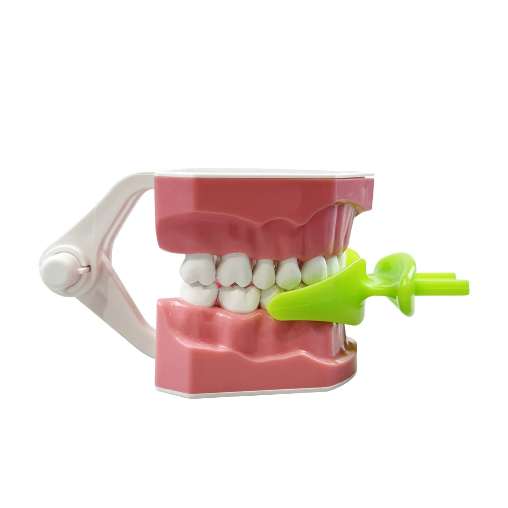 Dental Maxillary Tray Denture Restoration Occlusal Edentulous Impression Tray Oral Opening Mold Restoration Nursing Tools