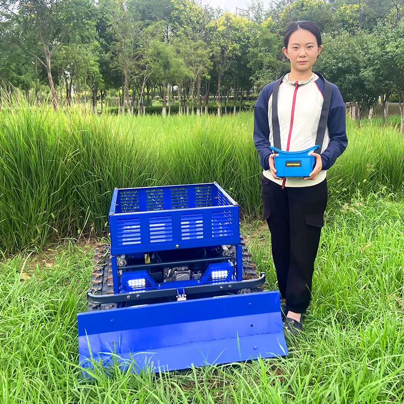 

Customized 550mm cutting width lawn mower upgraded with a new type of high-efficiency lawn mower