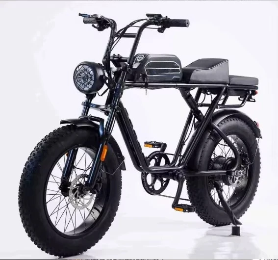 20 Inches Fat Tire Powerful Ebike for Adults 48V 750W Electric Fatbike Full Suspension Hybrid Electric Bike