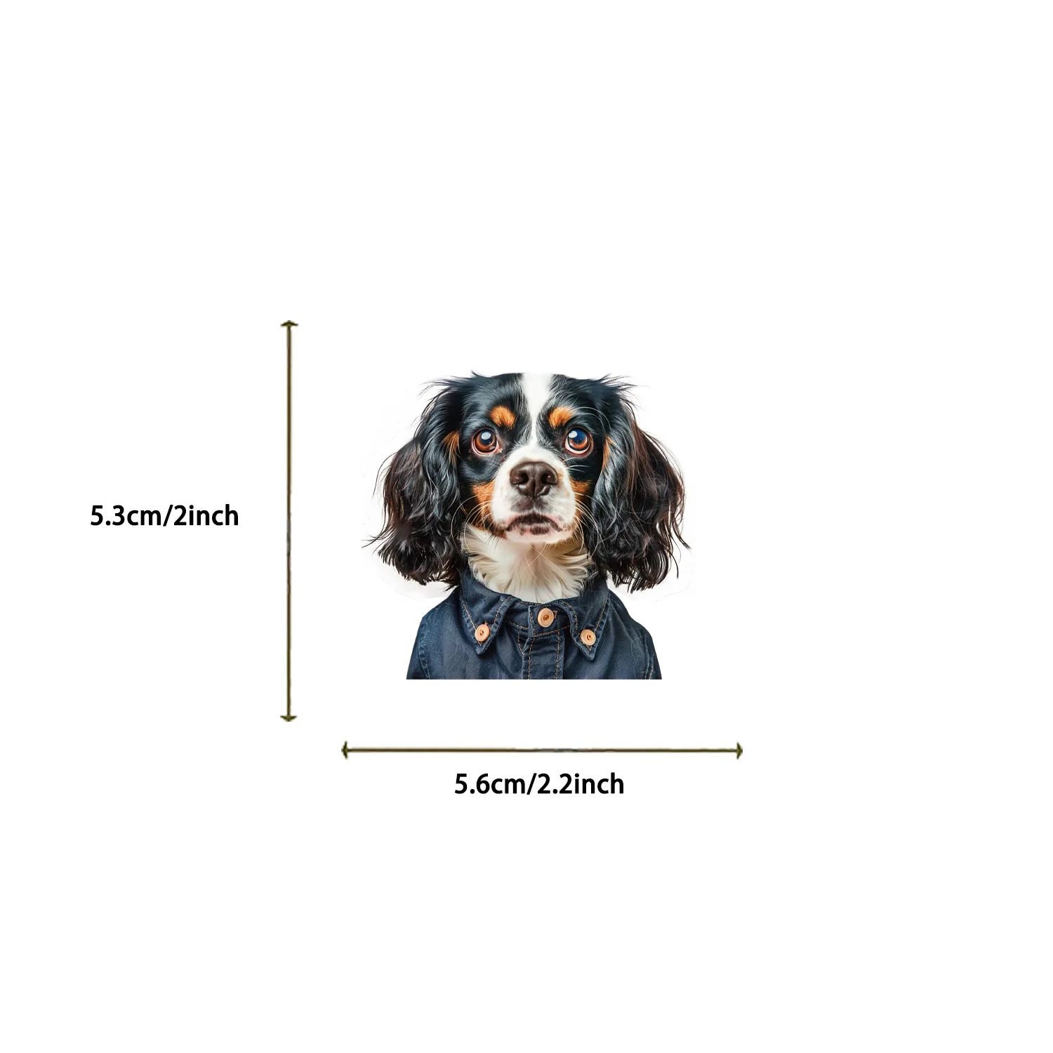 مجموعة ملصقات الكرتون للكلاب ، مقاومة للماء ، شفافة ، حيوان أليف ، مواد مسك الدفاتر ، ديكور ، دفتر ملاحظات ، تصنعه بنفسك ، 50 روض