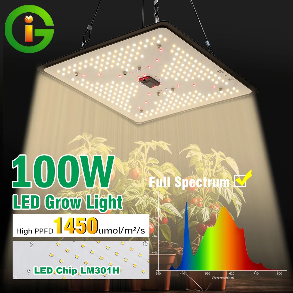 LM301H LED تنمو ضوء 100 واط عكس الضوء الطيف الكامل الكم مجلس Fitolamp ضوء للداخلية الخضار زهرة النباتات مصباح #1