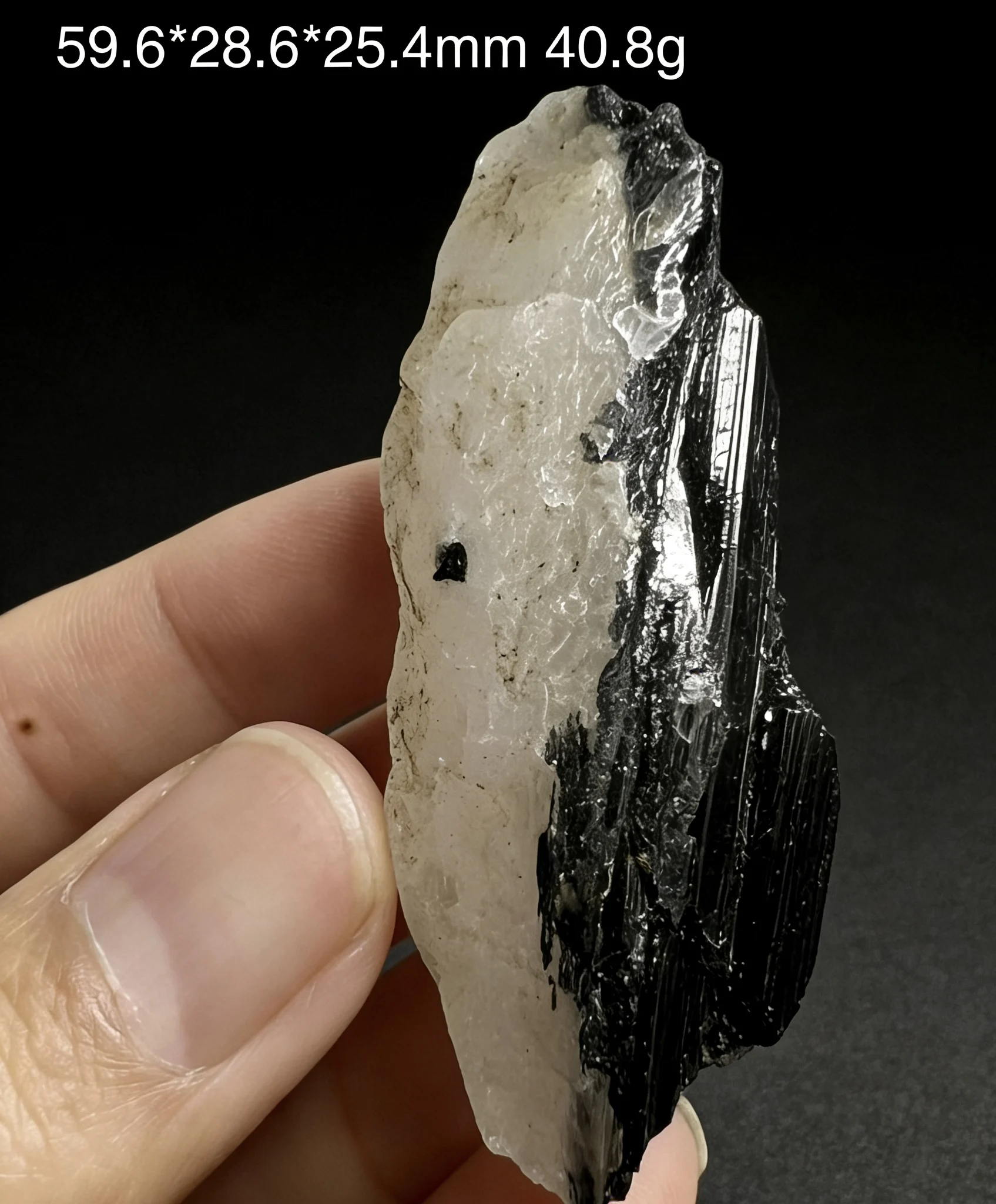 100% Natural Tourmalinated Quartz Crystal - Black Schorl Embedded Mineral Specimen, Reiki Healing Stone for EMF Shield Home