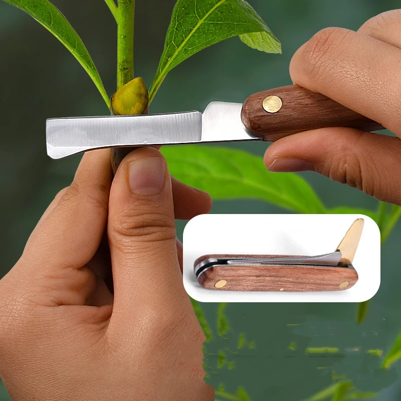 Cuchillo de injerto plegable, herramienta profesional de acero inoxidable con mango de madera para jardín