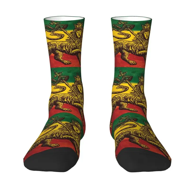 Harajuku Rasta Flag Lion Of Judah Socks Women Men Warm 3D Printed Jamaica Rastafarian Reggae Basketball Sports Socks