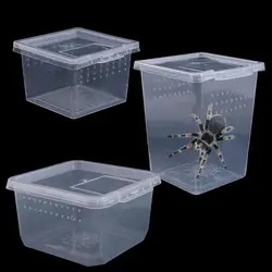Durable Reptile Accessories Plastic Household Transparent Reptile Habitat Insect Feeding Box Hatching Tank Lizard Living Box