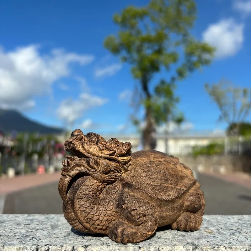 Hand-Carved Agarwood Dragon Turtle Statue - 4.3