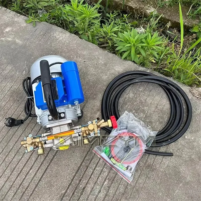 Electric Sprayer Household Four-stroke Dual Cylinder Spraying Pump Agricultural Portable Pesticide Spraying Machine 220V