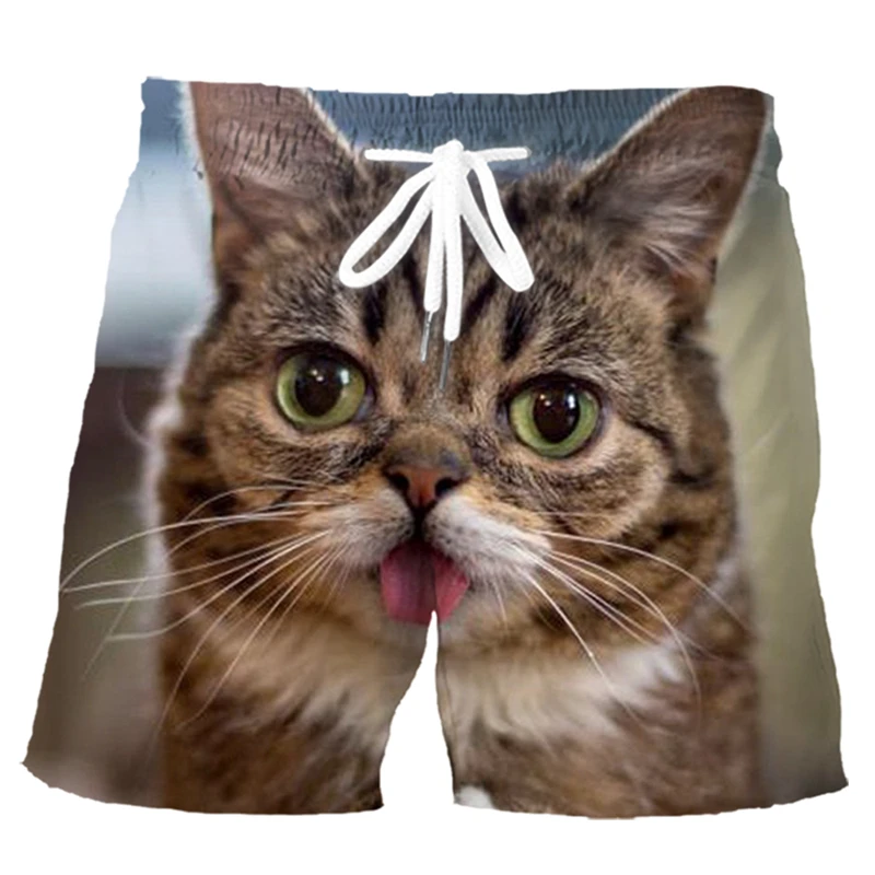 Men's Shorts Tabby Cat Dancing 3D Printed Board Shorts Fresh Casual Vacation Beachwear Men's Beach Shorts Fitness Sports Shorts