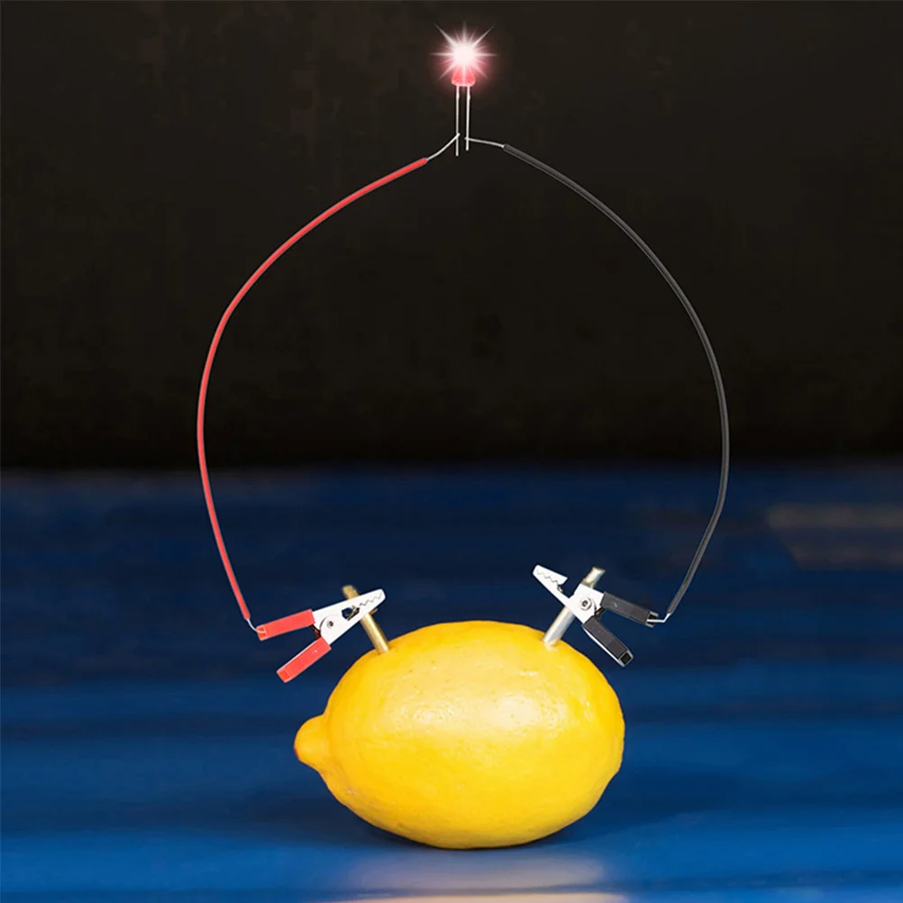 1Set Fruit Materials DIY Science Experiment Kit for Kids Hands on Learning Physics Project Supplies School Stem Activity