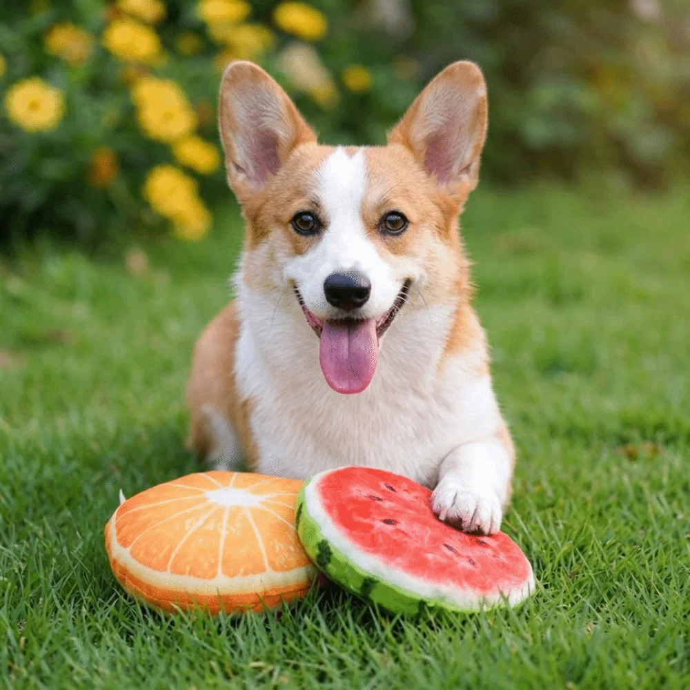 Soft Fabric Pet Chew Toy Cartoon Fruit Shape Built In Squeaker Squeaky Dog Toy Multiple Bright Hues Tear Resistant Surface